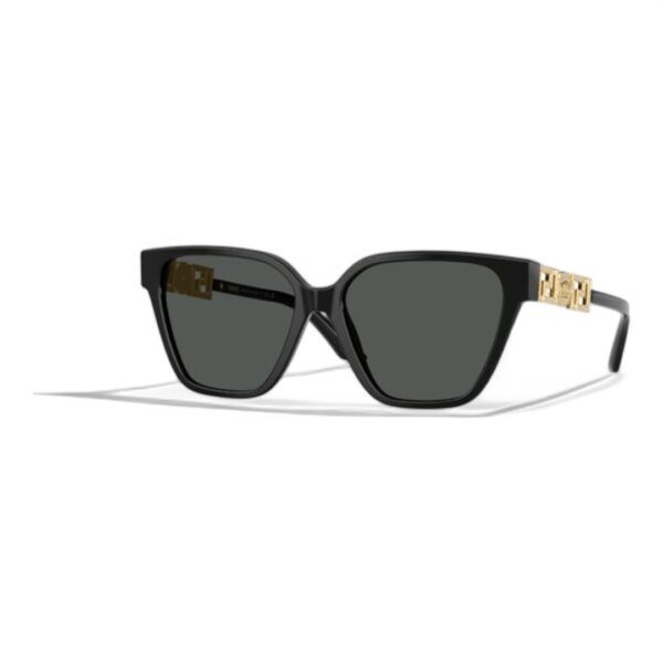 Versace 4471B 10887 Kadın Güneş Gözlüğü - Görsel 2