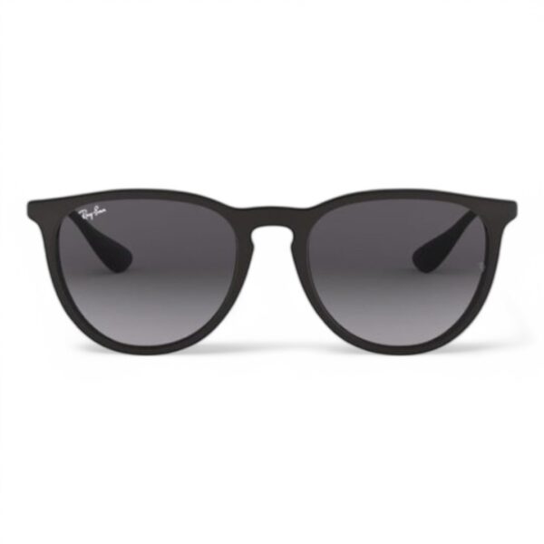 Ray-Ban 4171 6228G Unisex Güneş Gözlüğü