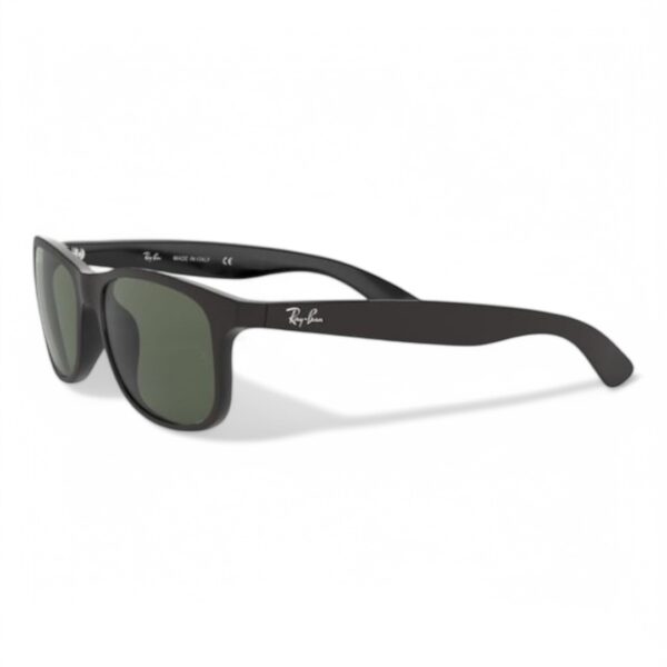 Ray-Ban 4202 606971 Unisex Güneş Gözlüğü - Görsel 3