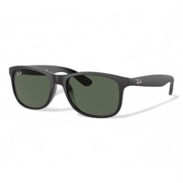 Ray-Ban 4202 606971 Unisex Güneş Gözlüğü - Görsel 2