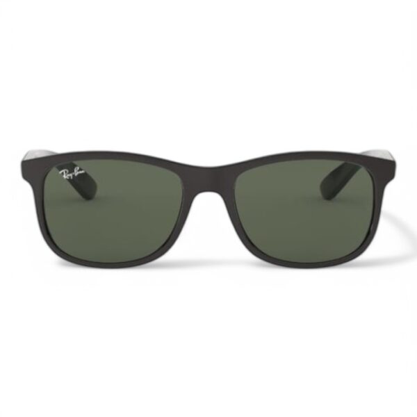 Ray-Ban 4202 606971 Unisex Güneş Gözlüğü